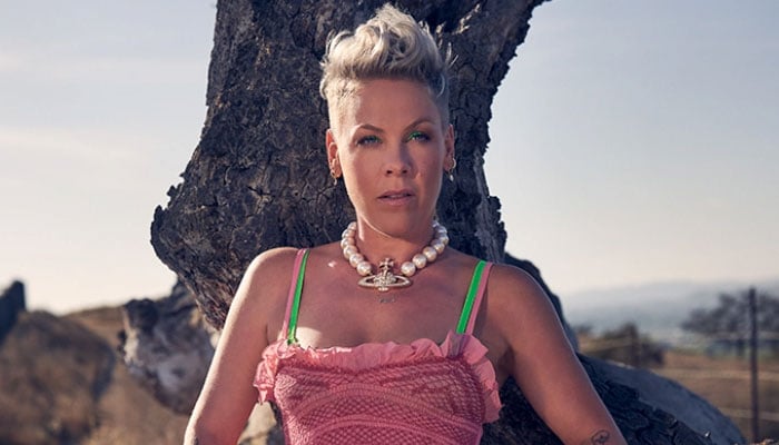 Pink addresses post-surgery recuperation and weight gain