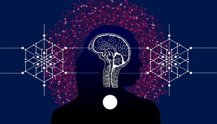 Ilustrasi menunjukkan otak manusia dan penggambaran koneksi saraf.— Pixabay