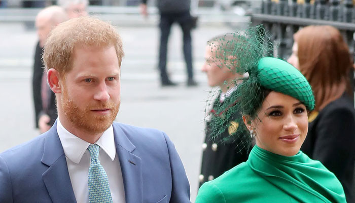 Prince Harry 'hopscotched the continents' to search out Meghan Markle
