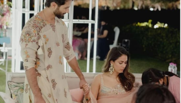 Shahid Kapoor and Mira Rajput set couple goals with this latest photo