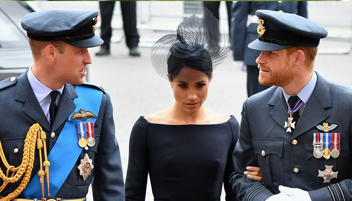 Meghan Markle meeting with Prince William was classic collision of cultures: Harry