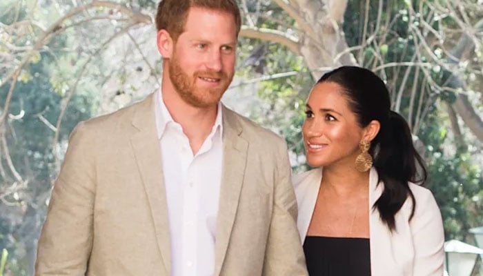 e Harry thought media would launch standard libels against Meghan Markle