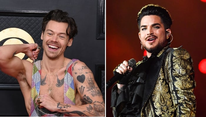 Adam Lambert claims Harry Styles ‘queerbaiting’ allegations insult gay peoples intelligence