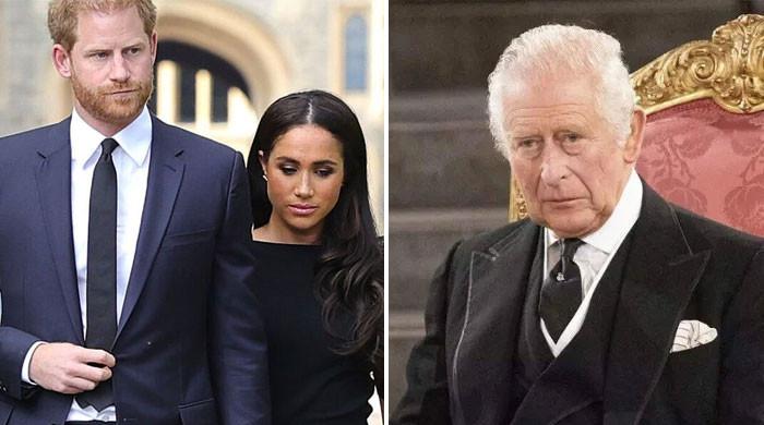 Prince Harry, Meghan Markle warned their ‘revival’ lay in King Charles ...