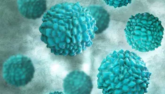 Il norovirus è responsabile di molte malattie di origine alimentare.  — Fondazione nazionale per le malattie infettive