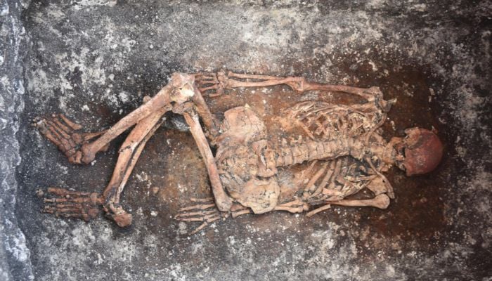 This image released by the University of Helsinki shows details of the horse rider discovered in Malomirovo, Bulgaria. He displays the typical burial custom of the Yamnaya. The radiocarbon date puts him into the 30th century BC.— AFP