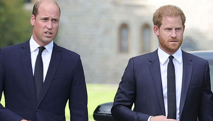 Prince WIlliam refused to be with Harry night before wedding to Meghan Markle