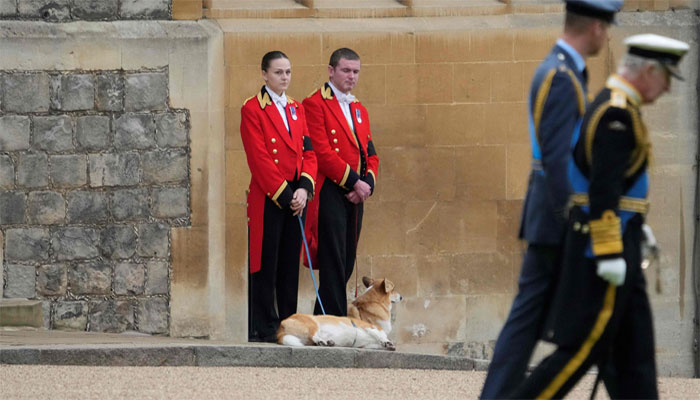‘The Queen and Her Corgis’ exhibition opens in London