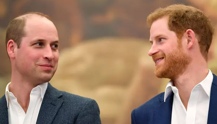 Prince William indicated Prince Harry was unwell and unwise over phone