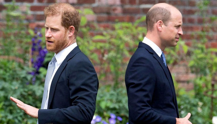 Prince Harry had intense fight over text with Prince William