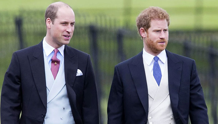 Prince Harry told William about staff who took payments to leak Meghan news