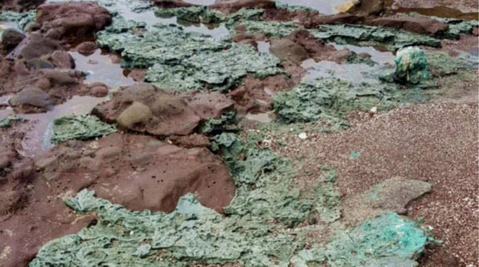 Plastic rocks shock researchers on once-pristine island