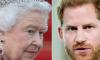 Queen Elizabeth 'walked out' after Prince Harry's security 'appeal'