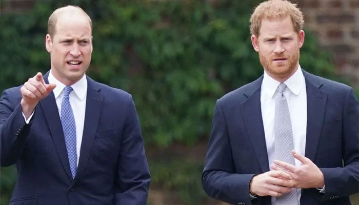 Prince William and Prince Harry snubbed from cousin’s wedding?.