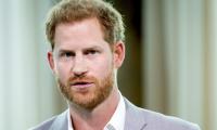 Prince Harry 'year of transition' was hampered after bodyguard left 
