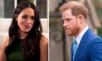 Prince Harry, Meghan Markle Banking On Institution ‘they Loathe And Detest’