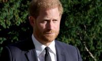 Prince Harry ‘does not comprehend’ the ‘level of damage’ he’s done