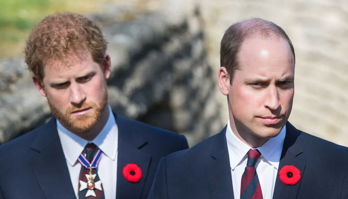 Prince William saw he was in place of hurt with Prince Harry