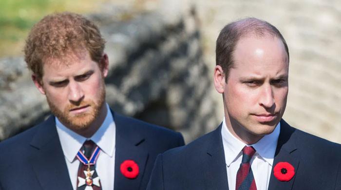 Prince William saw he was in 'place of hurt' with Prince Harry