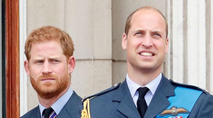 Prince William expected Harry 'must come to him' to ask for help