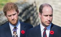 Prince William saw he was in 'place of hurt' with Prince Harry