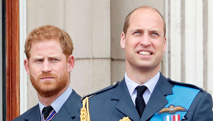 Prince Harry texted Prince William the moment he knew Queen was suffering