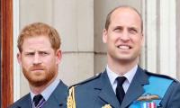 Prince Harry 'texted' Prince William The Moment He Knew Queen Was Suffering