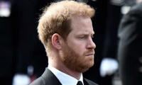 Prince Harry Braves 'hostile Environment' During UK Visit