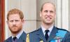 Prince Harry 'texted' Prince William the moment he knew Queen was suffering