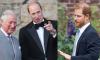 Prince Harry ‘snubs’ Prince William, King Charles in surprise UK visit