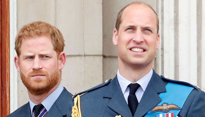 Prince William to pen book to ‘counter’ Prince Harry’s ‘Spare’?