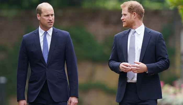 Prince Harrys privacy case details revealed: Duke speaks of William, Kate Middletons mother