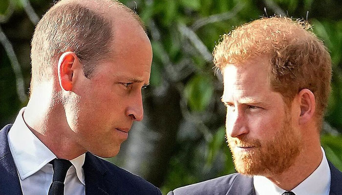 Prince Harry, Prince William felt familiar as they stood behind Queen coffin