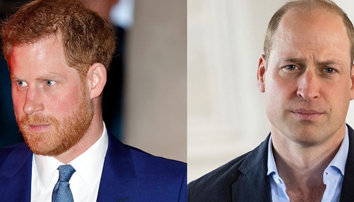 Prince Harry admitted media would protect William as Rose Hanury romance looms