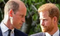 Prince Harry, Prince William Felt 'familiar' As They Stood Behind Queen Coffin