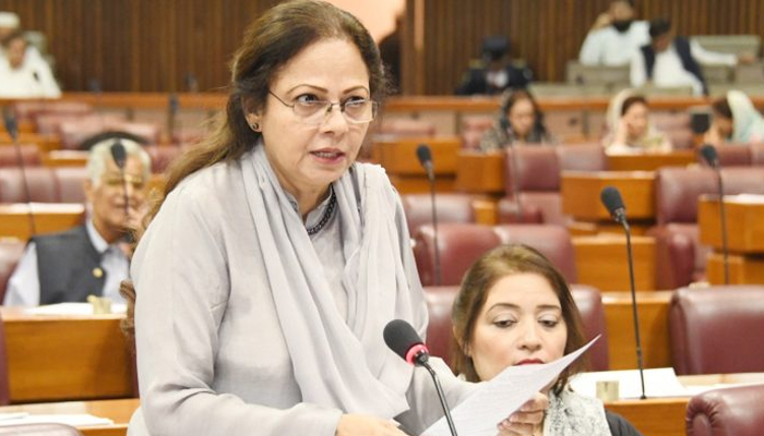 State for Finance and Revenue Senator Aisha Ghaus Pasha speaks on the floor of the parliament in this undated photo. — APP/File