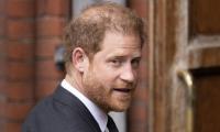 Prince Harry ‘single-handedly Made Himself Into The World’s Only Professional’ Grumbler