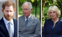 Prince Harry Has ‘pretty Natural Feelings Of Resentment Towards Both Charles And Camilla’