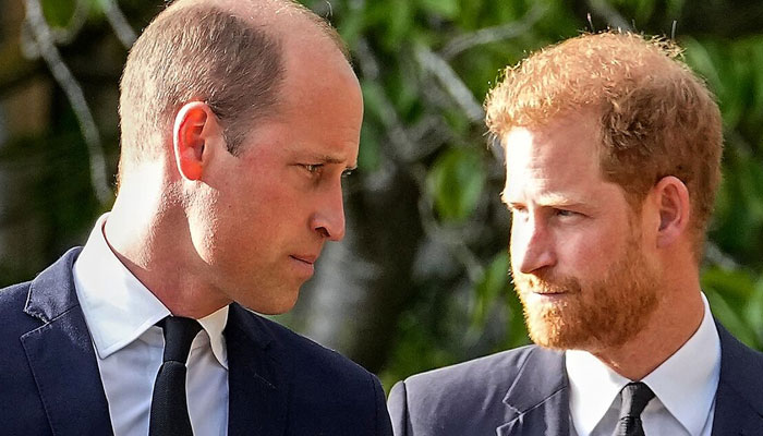 Prince Harry got weird glances from Prince William after requesting drugs