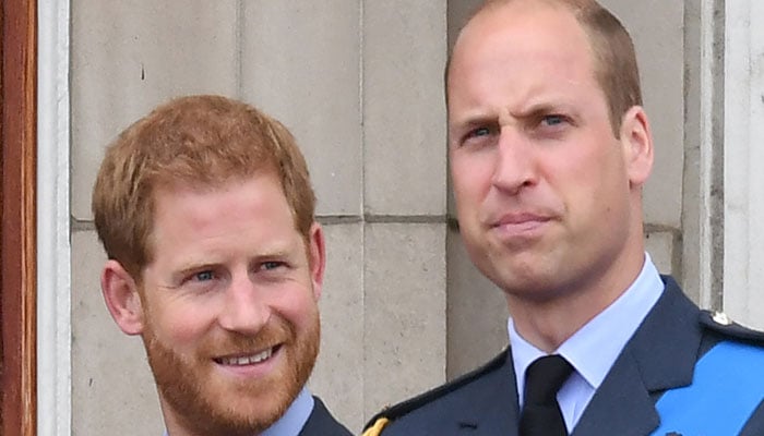 Prince William made excuses to get out of media engagement, says Prince Harry
