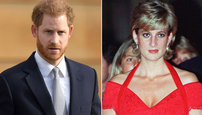 Prince Harry felt wrong to enjoy place Princess Diana despised