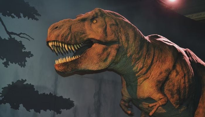 Um co-autor disse que era notável como os lábios do T-rex são semelhantes aos lagartos monitores.— Unsplash