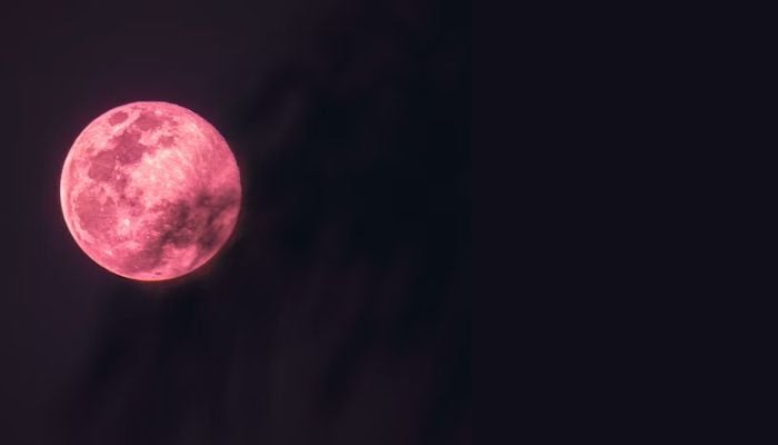 The image shows a pink moon.— Unsplash