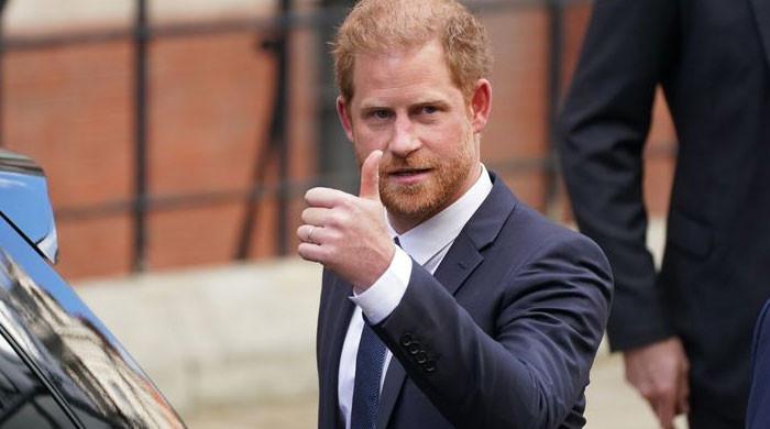 Prince Harry branded ‘stupid’ and ‘a bit too easy to mock’