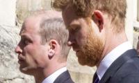 Prince Harry Helped Prince William 'check His Injuries' As He Tackled Opponents