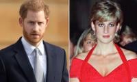 Prince Harry felt 'wrong' to enjoy place Princess Diana 'despised'