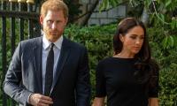 Prince Harry and Meghan Markle hardly worked for Archewell Foundation 