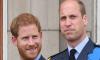 Prince William made 'excuses' to get out of media engagement, says Prince Harry