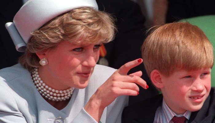 Prince Harry was able to postpone the bulk of grief after Princess Diana death