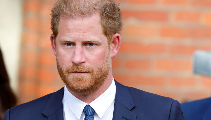 Prince Harry should list ‘score-settling as his primary occupation’